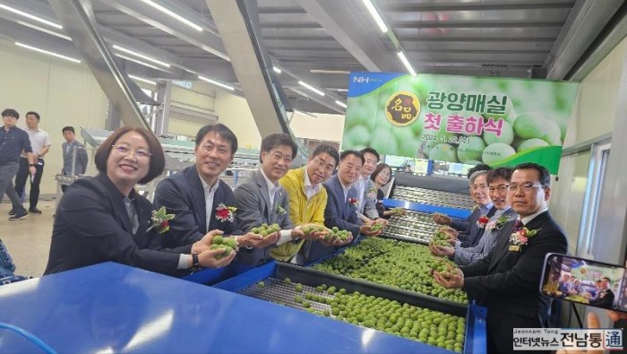 [(20240522)전남농협 사진자료(2)] 광양시농협조합공동사업법인 「명품 광양매실 첫 출하 행사」 개최.jpg