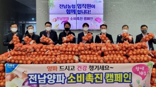 전남농협, 임직원 양파 소비촉진에 앞장서
