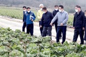 전남도-농식품부, 겨울배추 산지 출하실태 점검