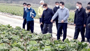 전남도-농식품부, 겨울배추 산지 출하실태 점검