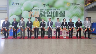 광양시농협조합공동사업법인 「명품 광양매실 첫 출하식 및 현판식」개최