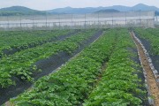 전남도, 유기농업자재 지원으로 친환경농업 실천 강화