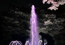 목포 유달산 조각공원, 야간 나들이 명소로 변신