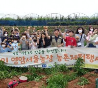 영암에서, 서울 초등학생 또 다른 식량 ! 감자와 옥수수 만나다